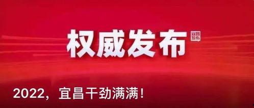宜昌社会新闻爆料,惊现街头斗殴事件，警方介入调查