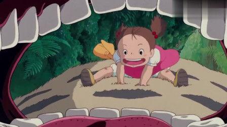 龙猫在线观看,探寻奇幻森林的温馨奇迹