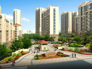 金商花园爆料视频大全,揭秘花园里的秘密与故事