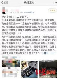 红星新闻怎么发爆料信息,揭秘事件真相，共建透明社会